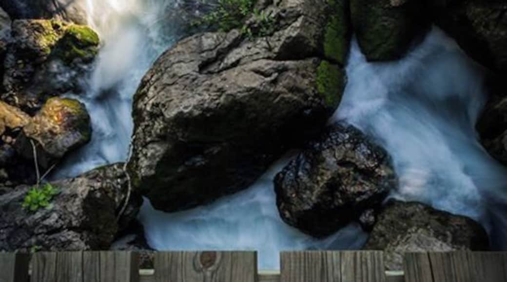Above the bridge that leads into the Cueva de Agua, one of the only cenotes outside the Yucatan Peninsula.