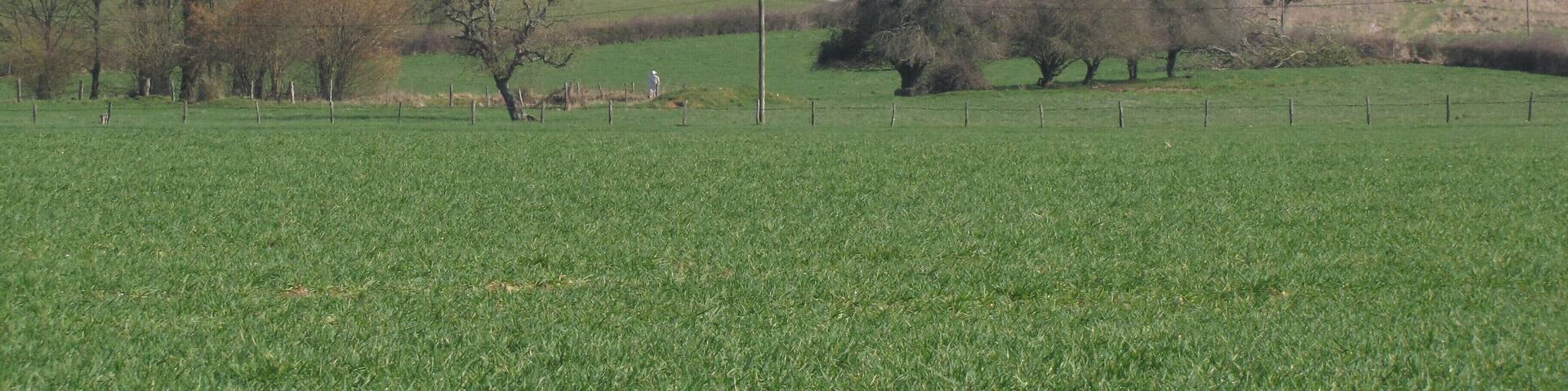 Fontenouilles, Yonne (France) - the village seen from the west