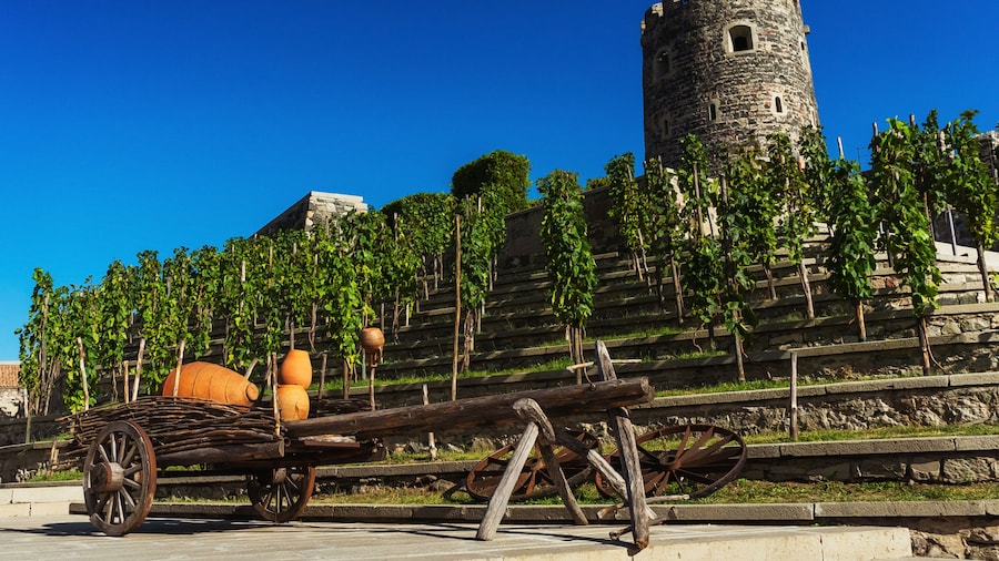 wine vineyard in Akhaltsikhe. vineyards in the Rabat fortress. wine making in Georgia
