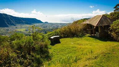 View of Plaine des Palmistes