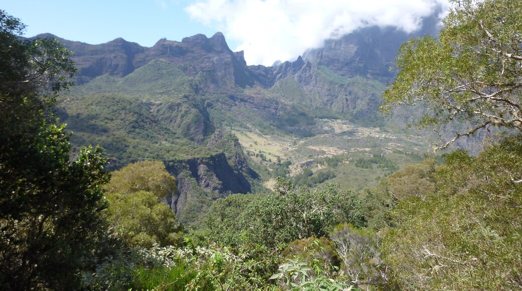 ๋ผ ๋ ์๋์น