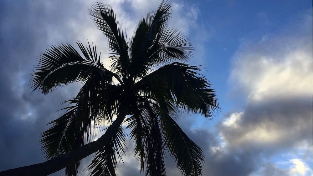 Great spot to finish a great day exploring, when in season you can sit and watch the whales play out in the sea.