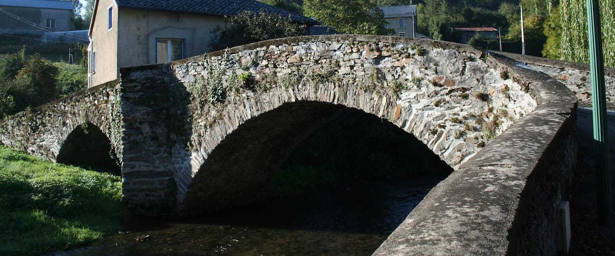A stone bridge over a river, surrounded by greenery and buildings.