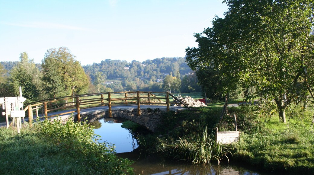 Viane (Tarn) - petit pont sur le Gijou.