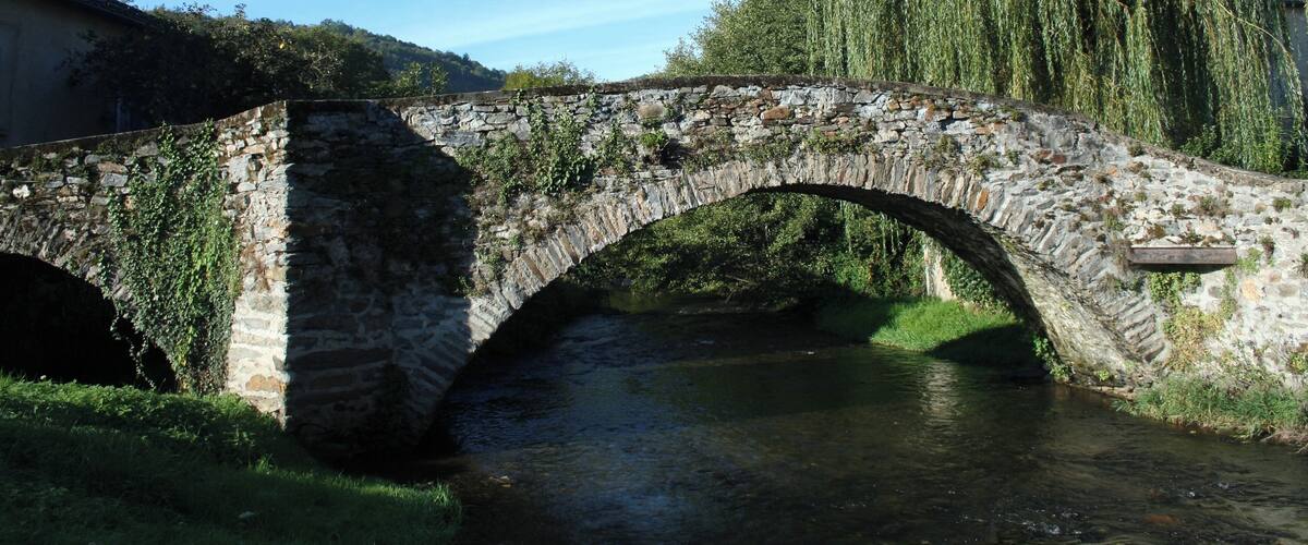 Viane (Tarn) - vieux pont sur le Gijou.