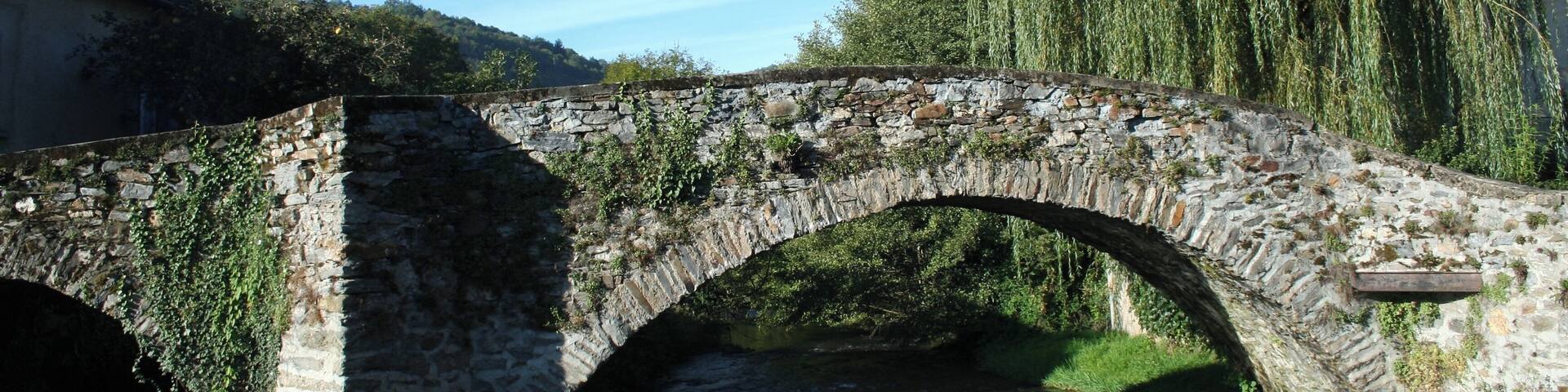 Viane (Tarn) - vieux pont sur le Gijou.