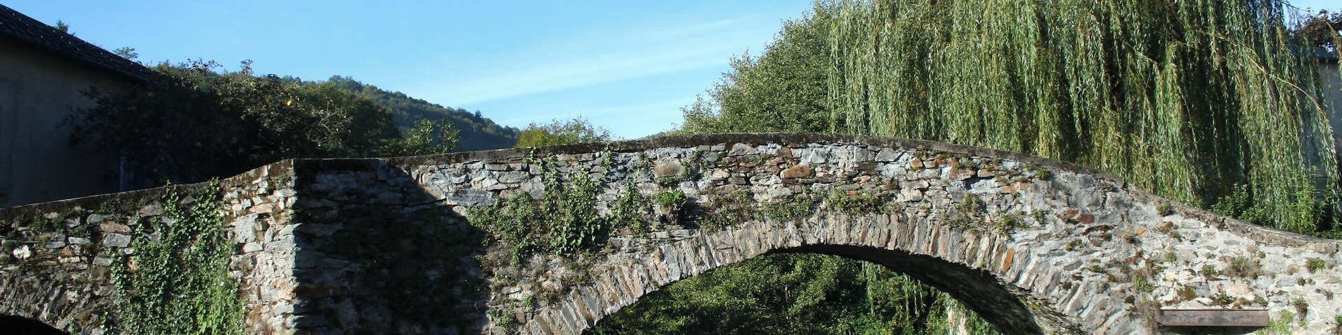 Viane (Tarn) - vieux pont sur le Gijou.