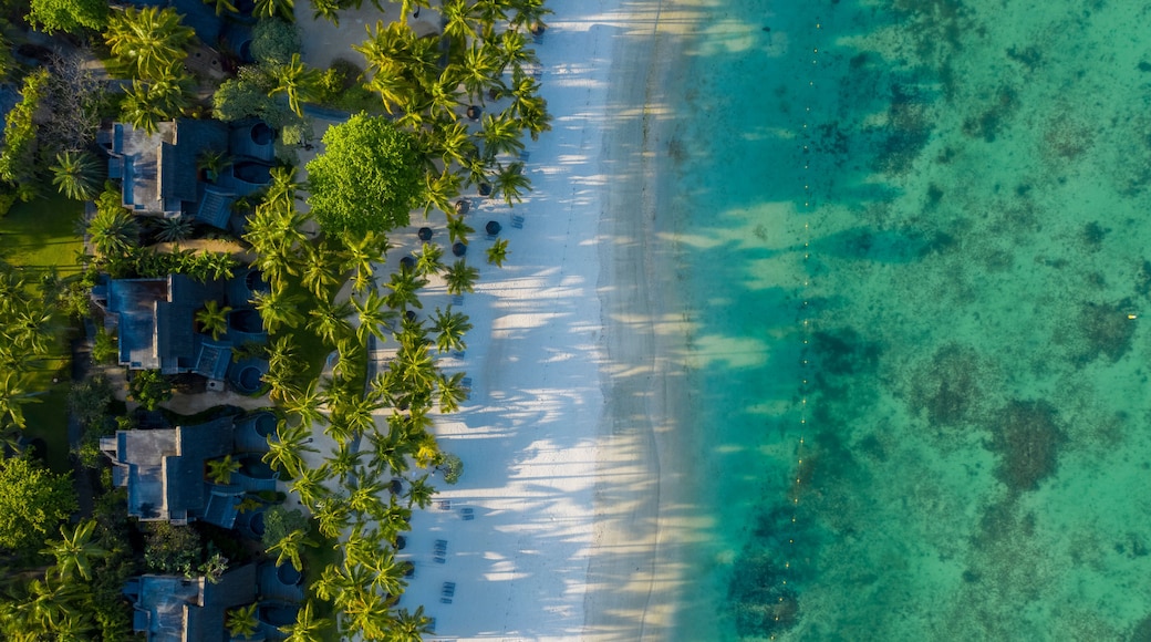 Eine Luftaufnahme eines Strandes mit klarem türkisfarbenem Wasser, weißem Sand und Palmen.