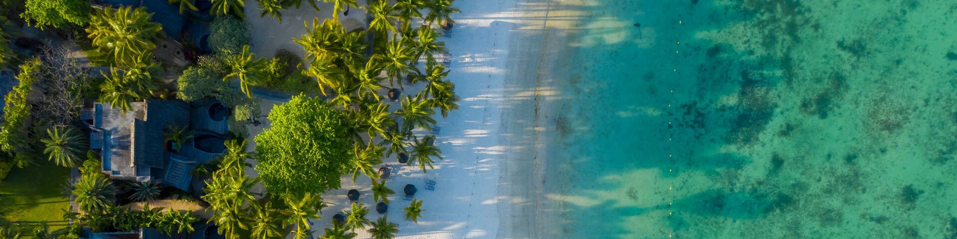 An aerial view of a beach with clear turquoise water, white sand, and palm trees.