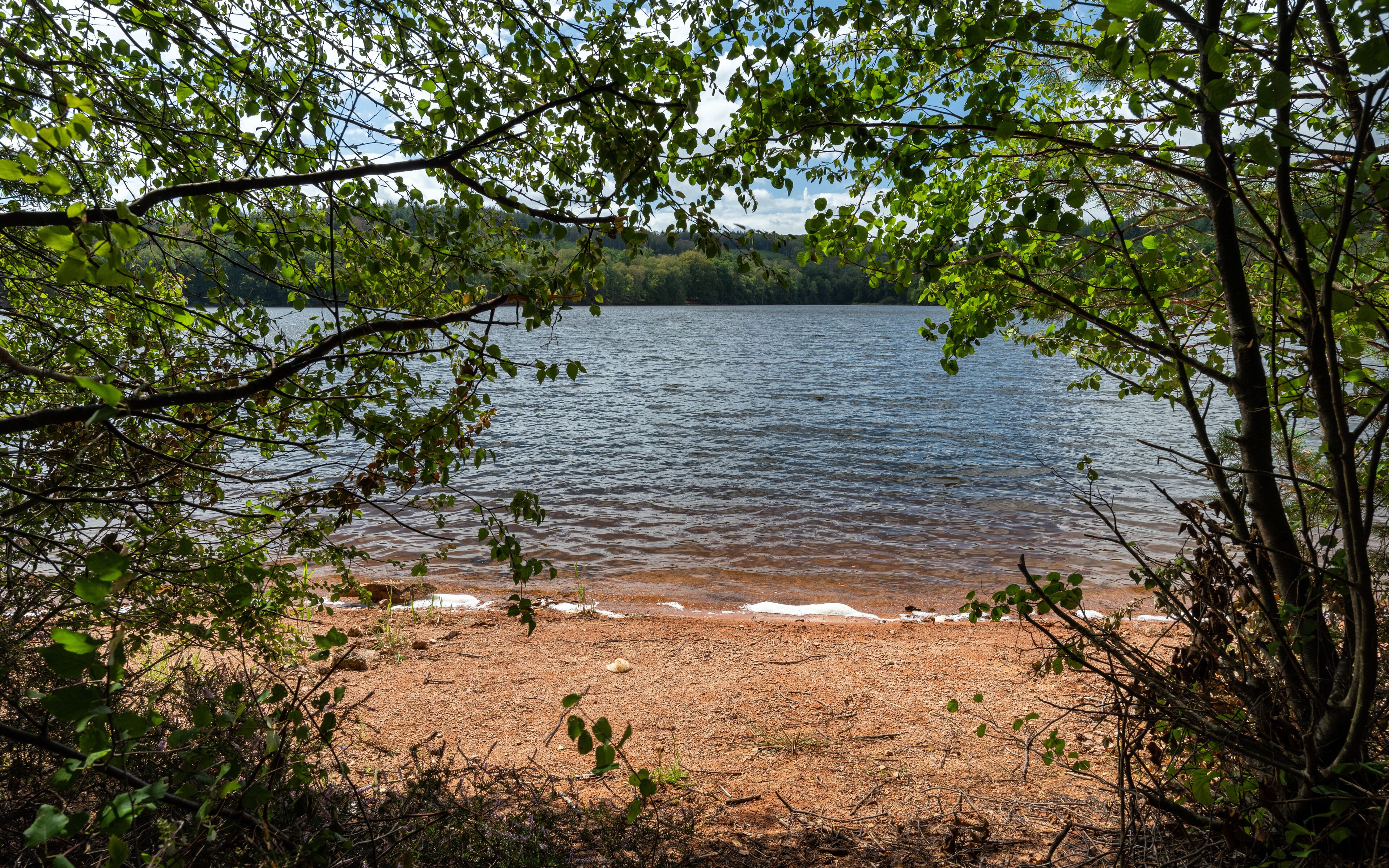 A lake surrounded by trees and a sandy shore.