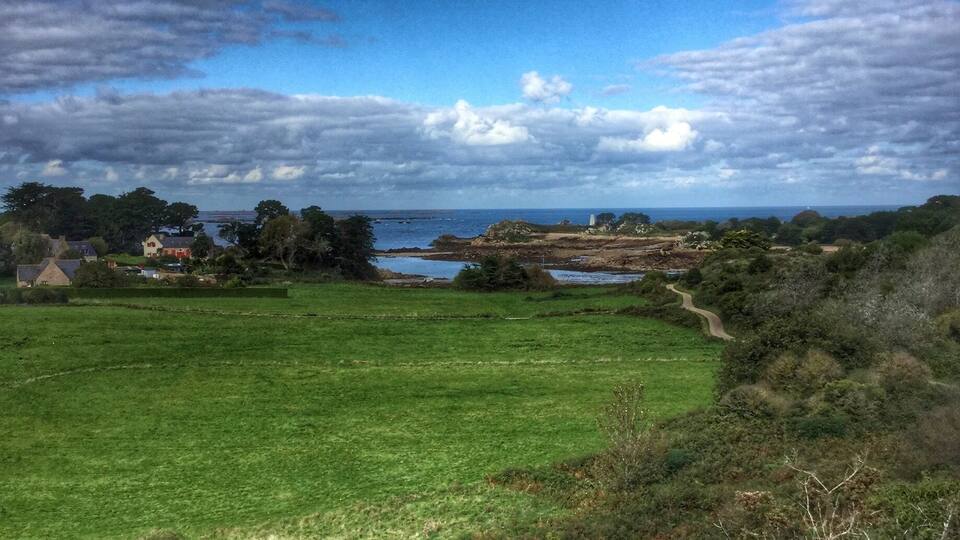 A coastal landscape with a grassy field, a winding path, and a body of water in the distance.