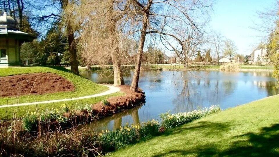 A park with a pond, a path, and a building.