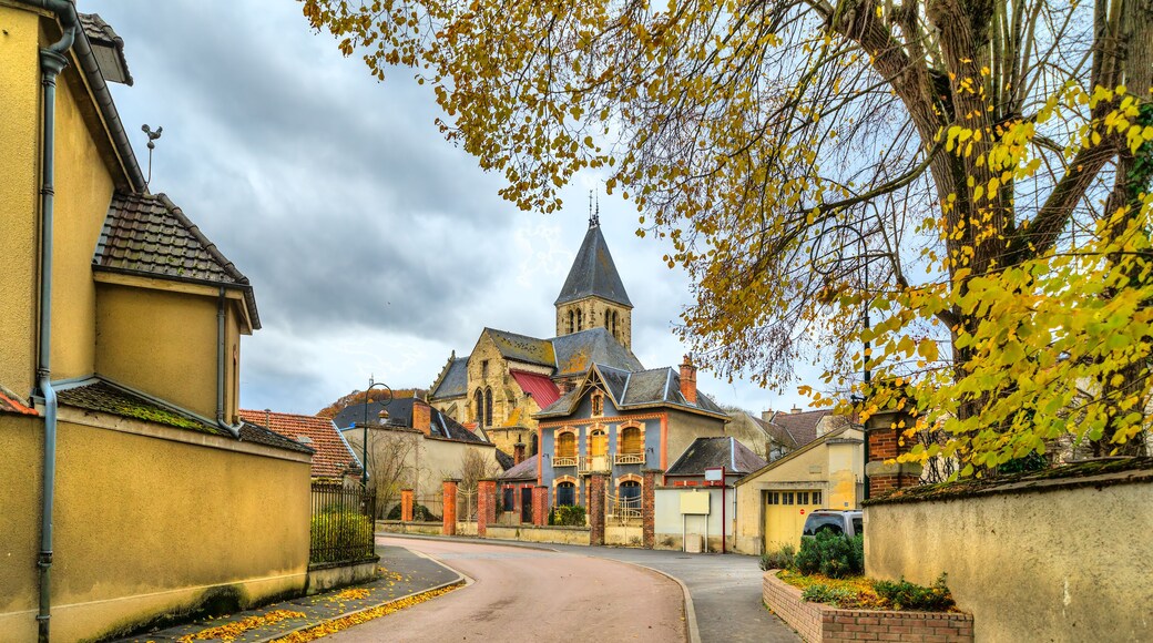 Ay, Epernay, Marne, Champagne region, France
