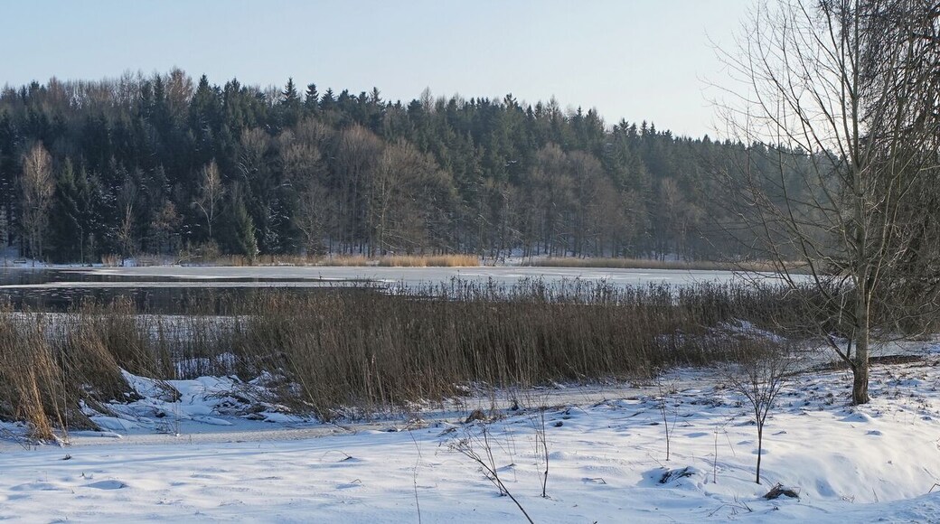 Fuggerweiher. View to the south east standing close to the B300.