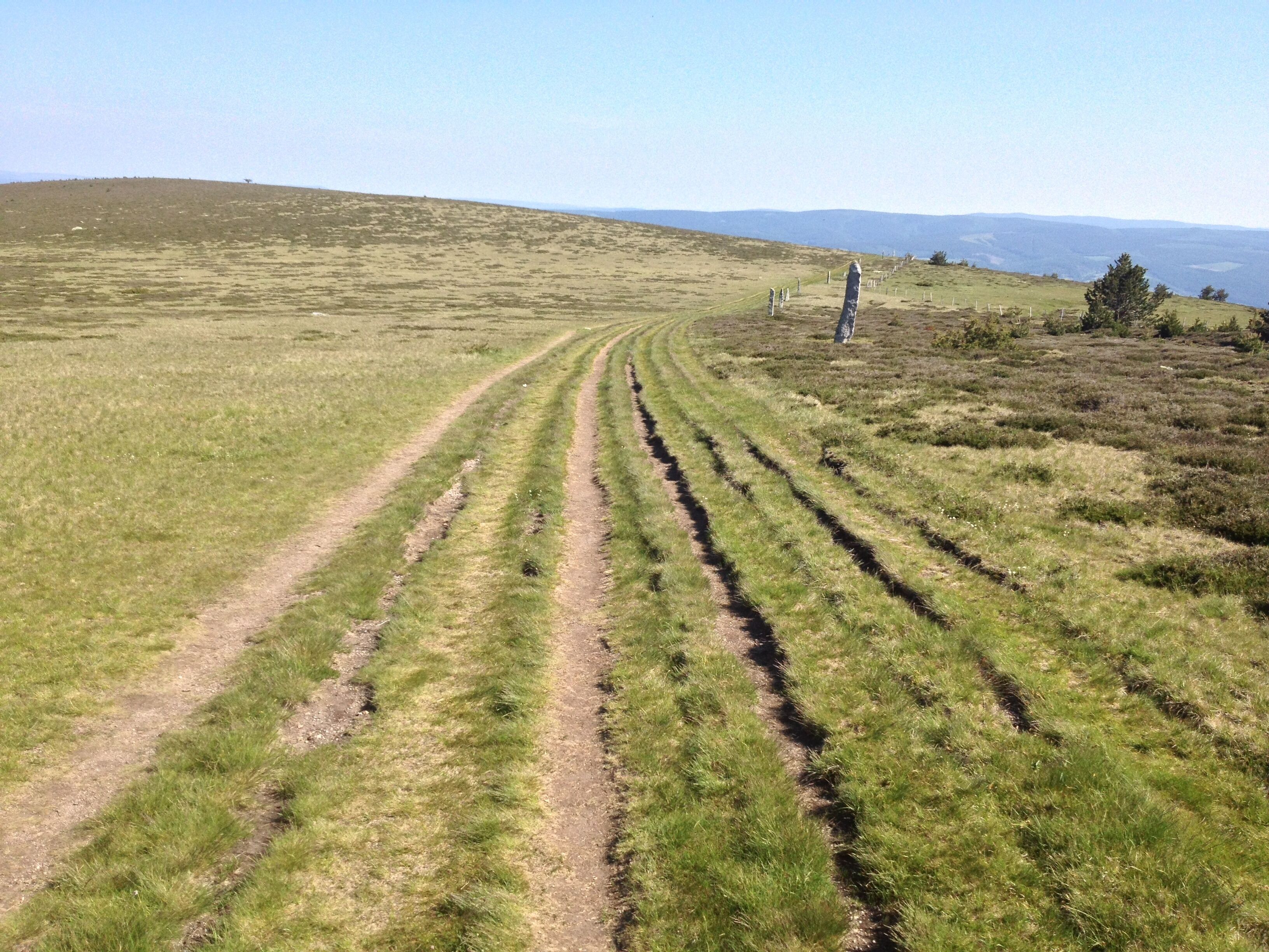 A grassy field with a dirt path leading to a monument.