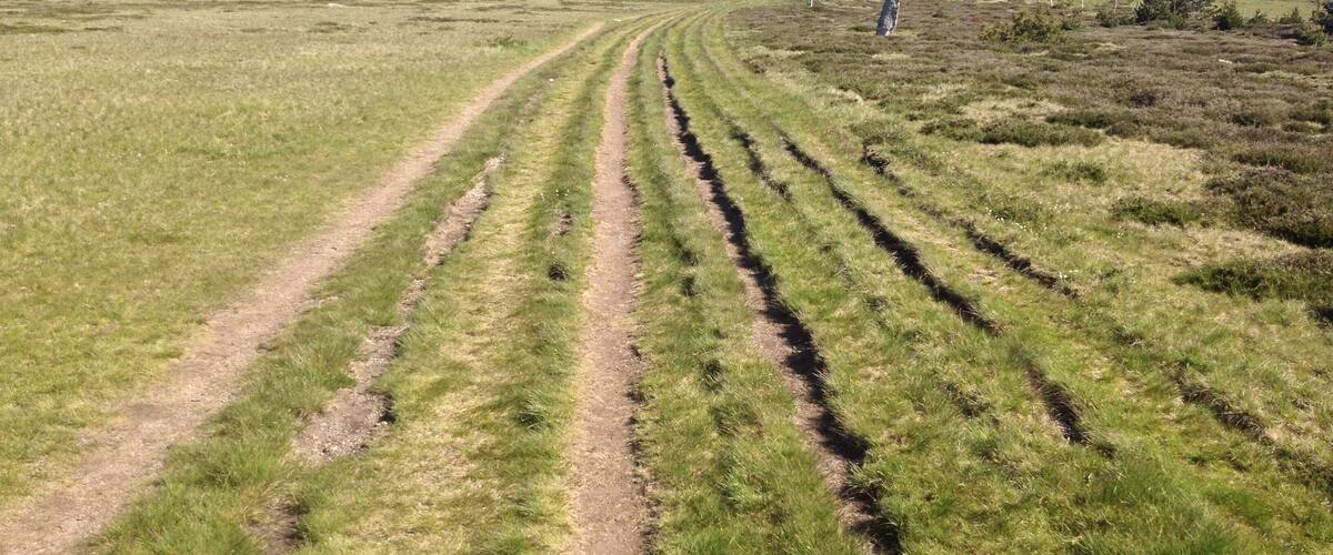A grassy field with a dirt path leading to a monument.
