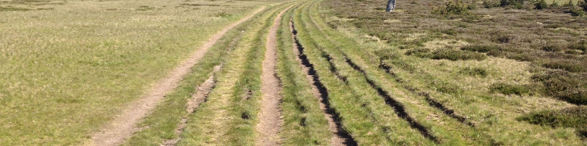A grassy field with a dirt path leading to a monument.