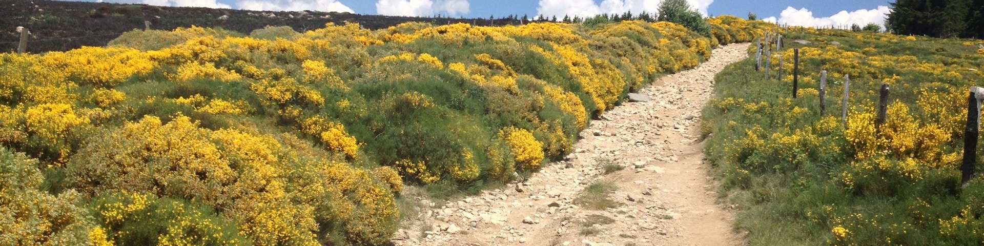 48220 Fraissinet-de-LozĂšre, France