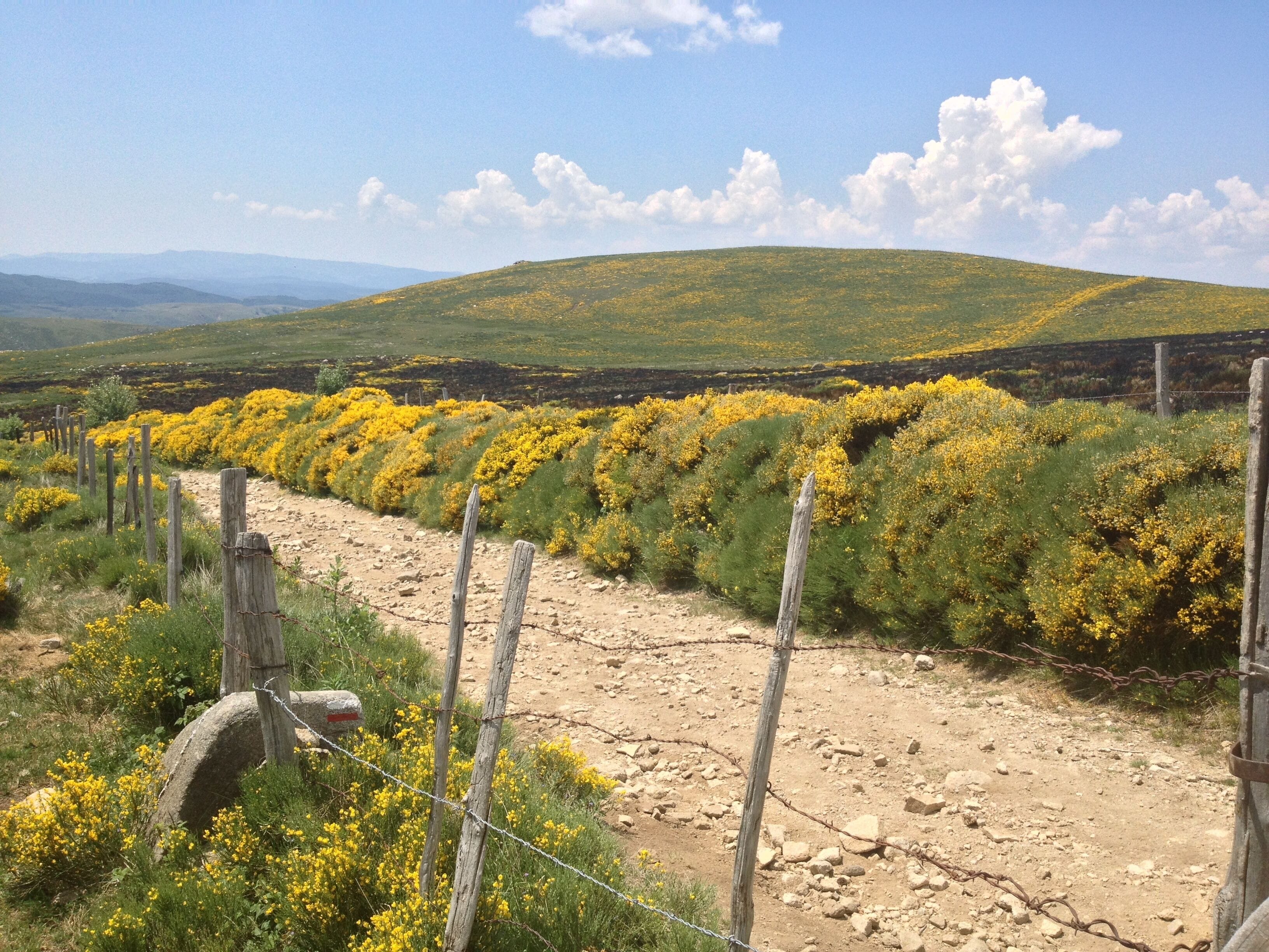 48220 Fraissinet-de-Lozère, France