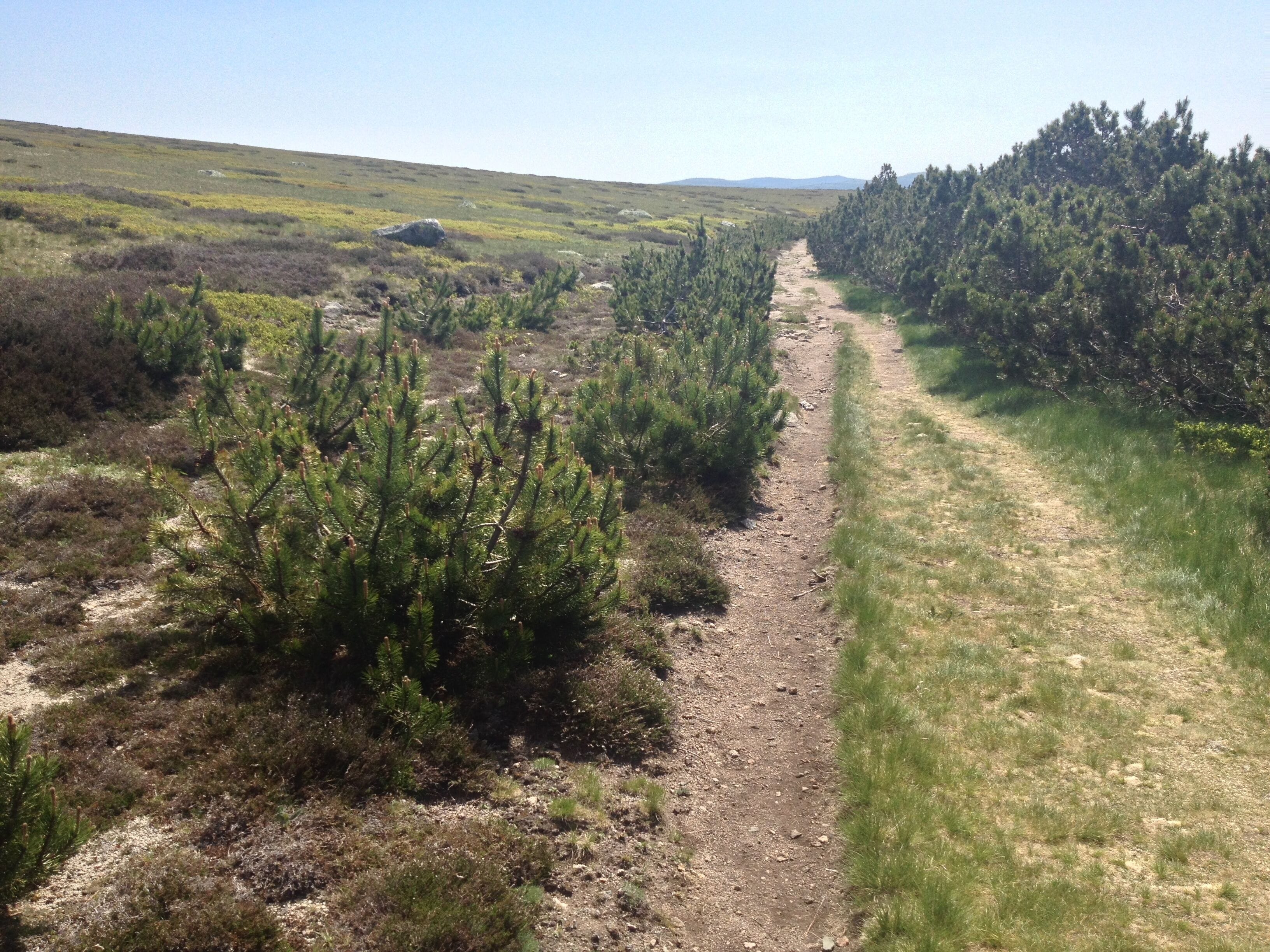 48220 Fraissinet-de-Lozère, France