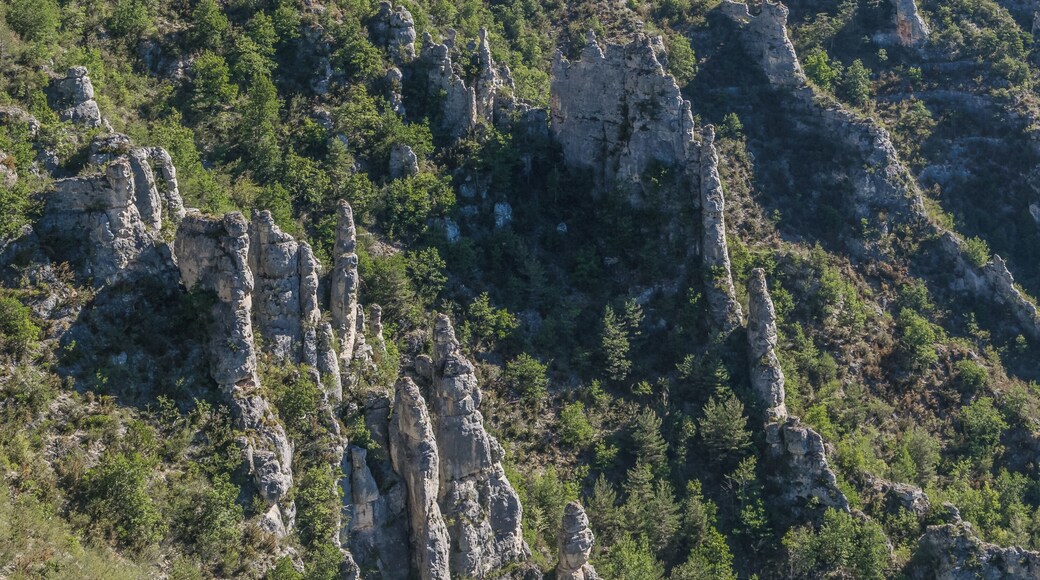 View of Gorges du Tarn from Point Sublime, commune of Saint-Georges-de-Lévéjac, Lozère, France