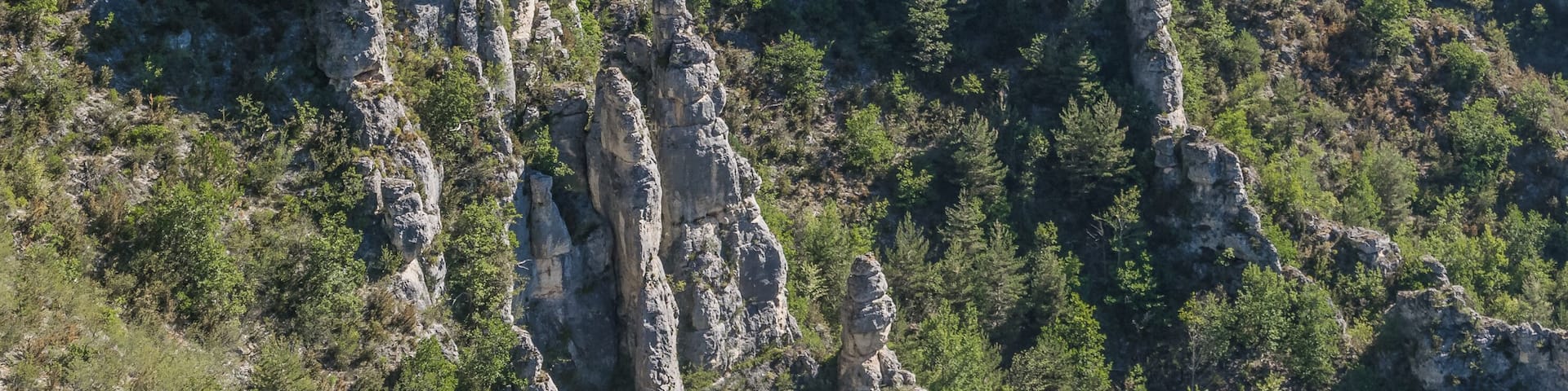 View of Gorges du Tarn from Point Sublime, commune of Saint-Georges-de-Lévéjac, Lozère, France