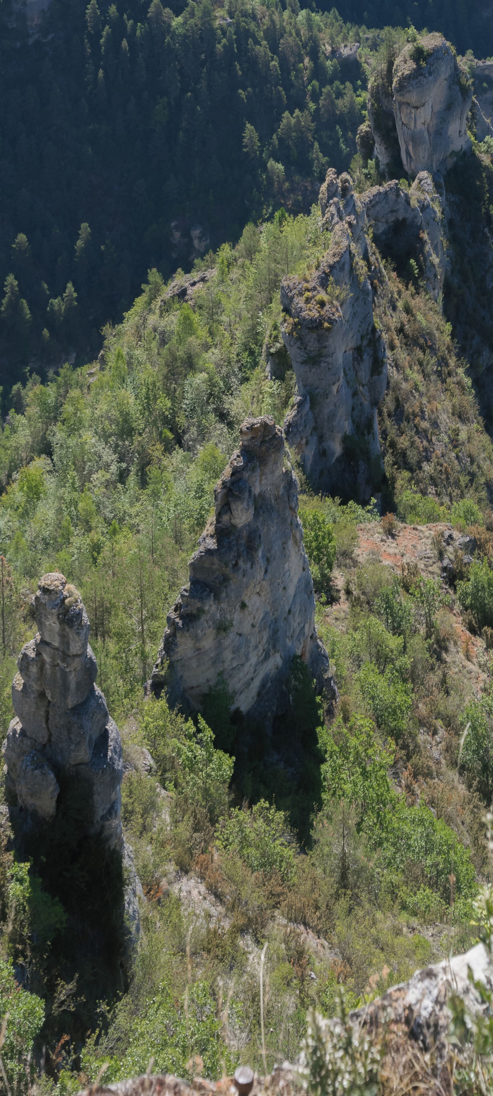 View of Gorges du Tarn from Point Sublime, commune of Saint-Georges-de-Lévéjac, Lozère, France