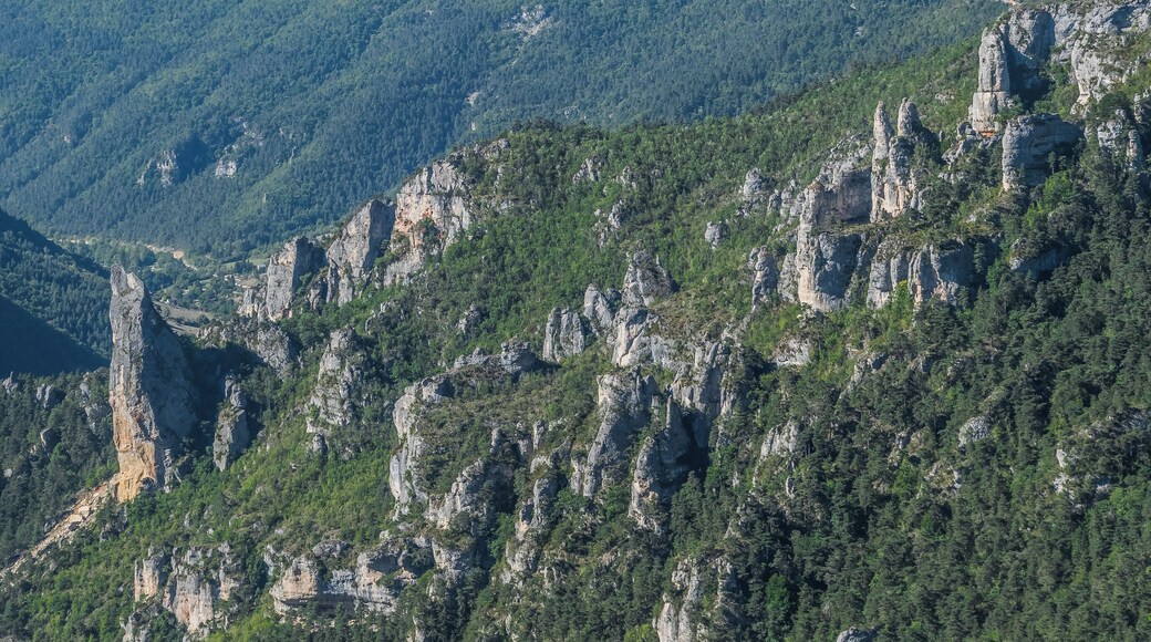 View of Gorges du Tarn from Point Sublime, commune of Saint-Georges-de-Lévéjac, Lozère, France