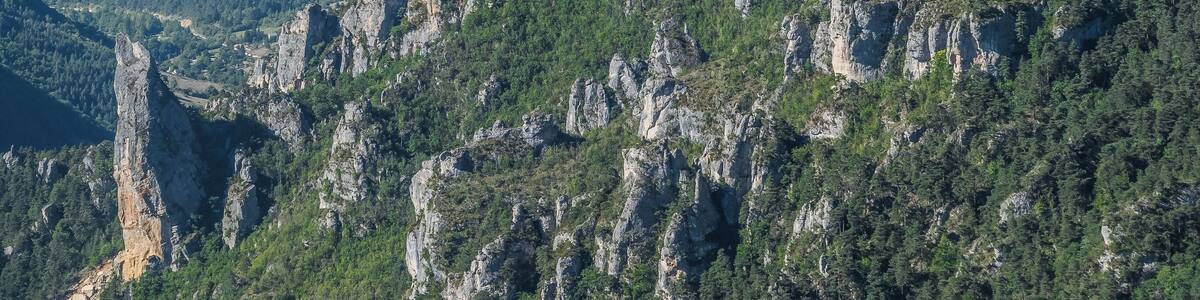 View of Gorges du Tarn from Point Sublime, commune of Saint-Georges-de-Lévéjac, Lozère, France