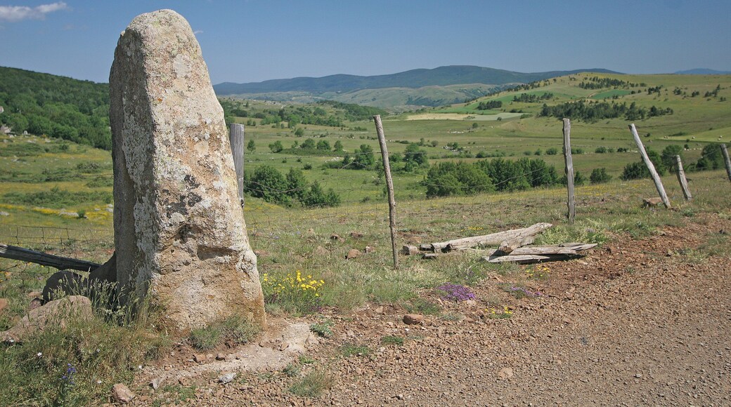 This building is indexed in the Base Mérimée, a database of architectural heritage maintained by the French Ministry of Culture, under the reference PA00103793 .