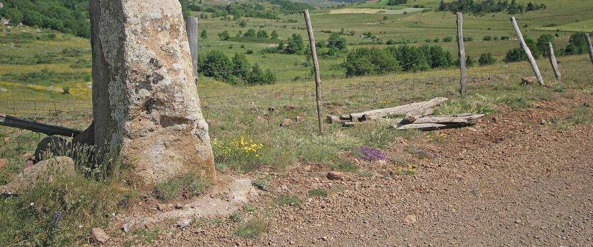 This building is indexed in the Base Mérimée, a database of architectural heritage maintained by the French Ministry of Culture, under the reference PA00103793 .