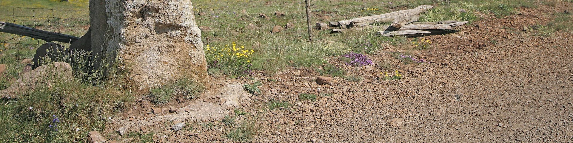 This building is indexed in the Base Mérimée, a database of architectural heritage maintained by the French Ministry of Culture, under the reference PA00103793 .