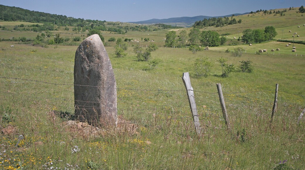 This building is indexed in the Base Mérimée, a database of architectural heritage maintained by the French Ministry of Culture, under the reference PA00103793 .