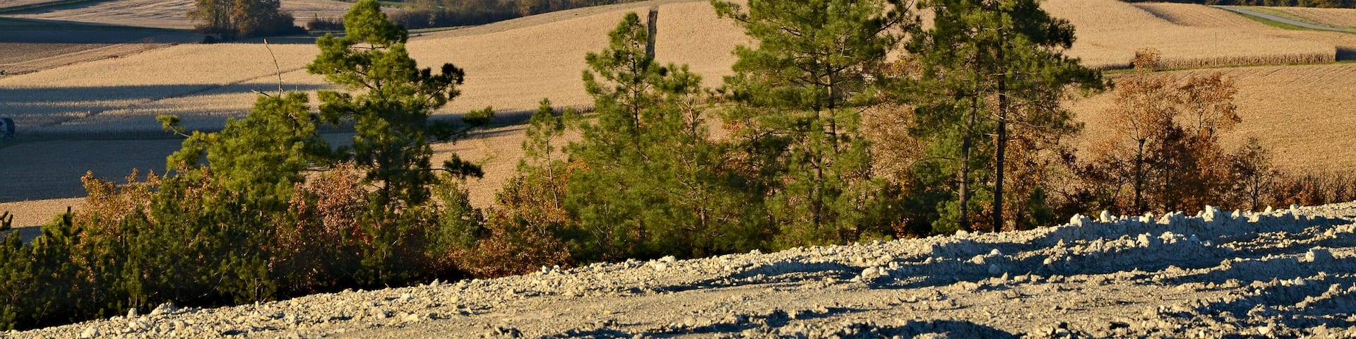 Hills looking NNW, with corn fields and woods, Sainte-Souline, Charente, France.