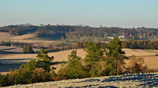 Hills looking NNW, with corn fields and woods, Sainte-Souline, Charente, France.