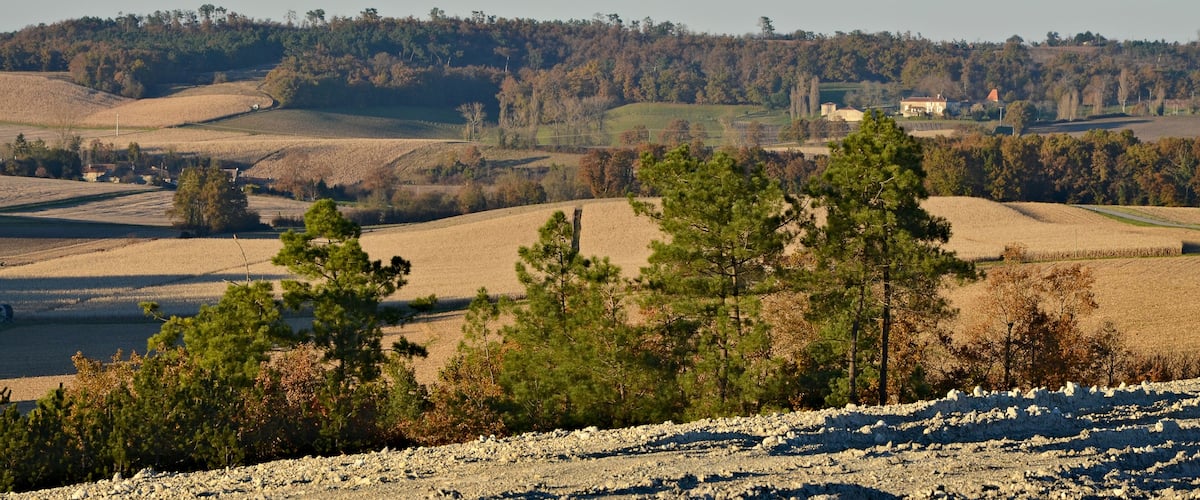 A rural landscape with rolling hills, scattered trees, and a distant house.