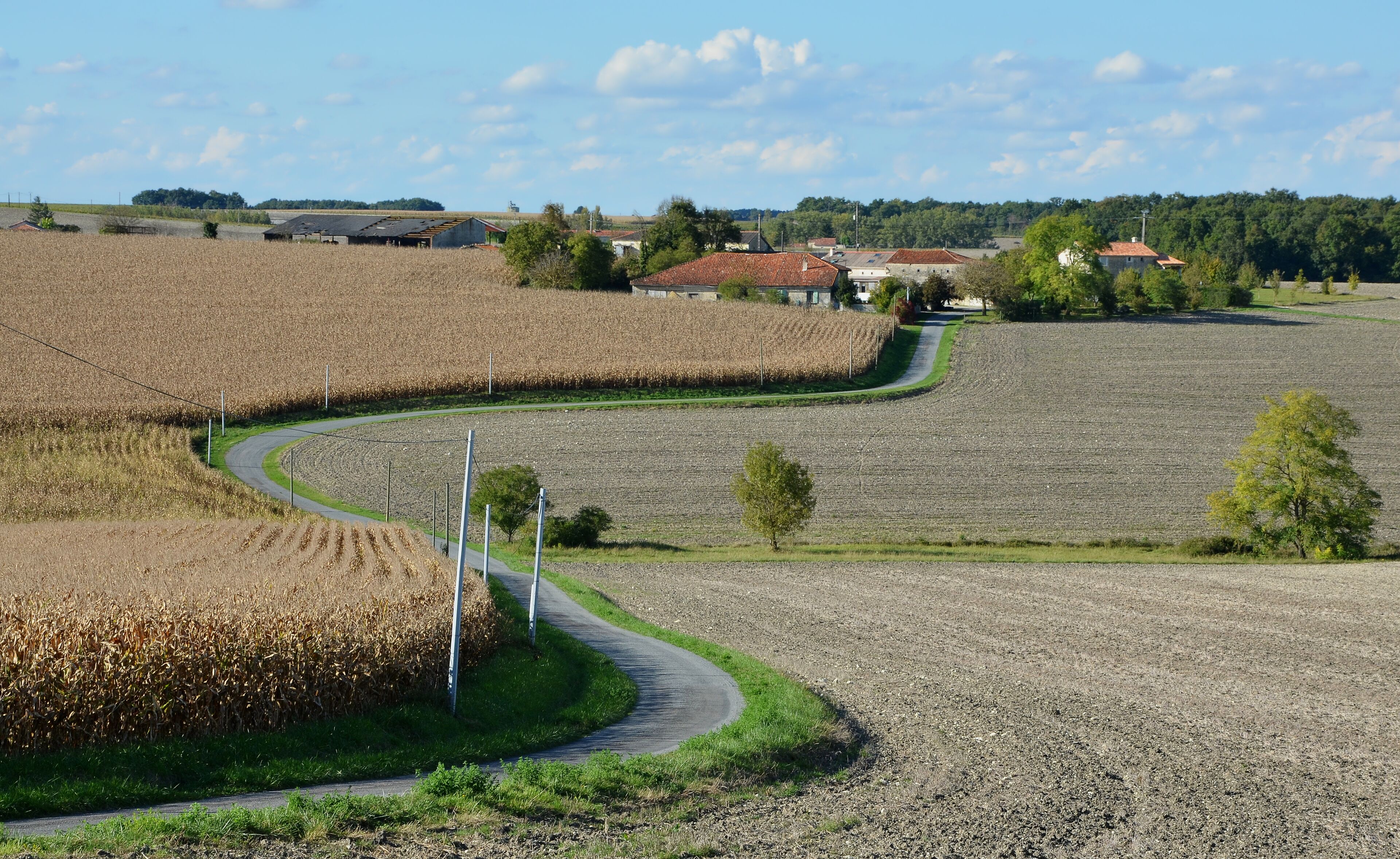 The hamlet of La Chardie and access road as seen from road D 46, Bessac, Charente, France.