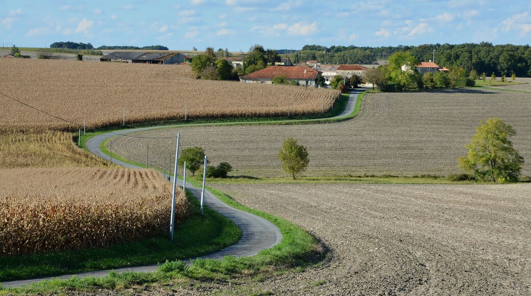 The hamlet of La Chardie and access road as seen from road D 46, Bessac, Charente, France.