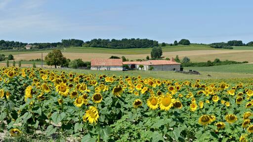 Fields and renewed hamlet of Le Menot, Bessac, Charente, France.