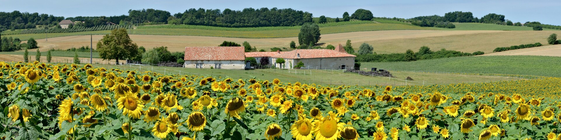 Fields and renewed hamlet of Le Menot, Bessac, Charente, France.