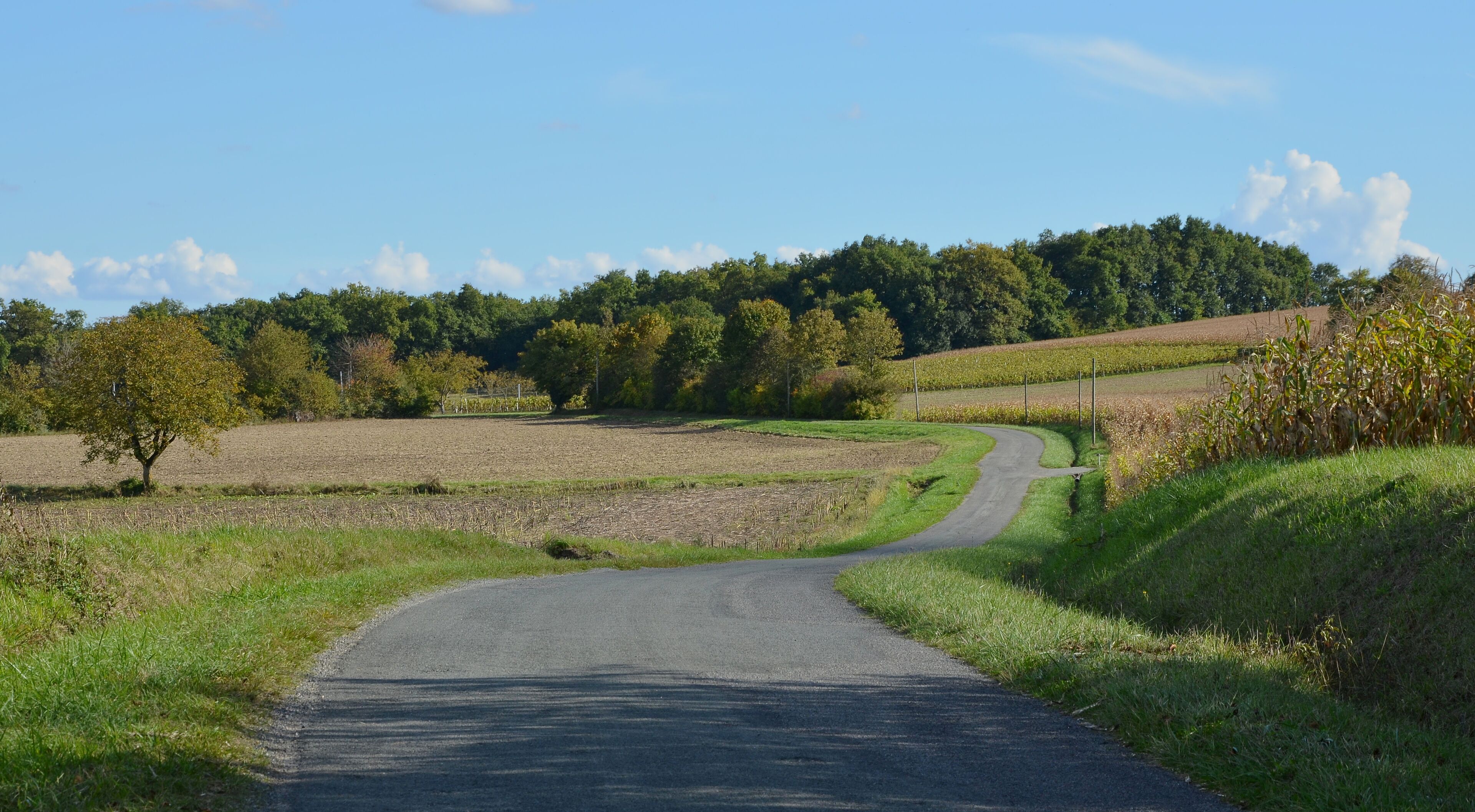 Country road from D 46 to D 74, near Bessac, Charente, France.
