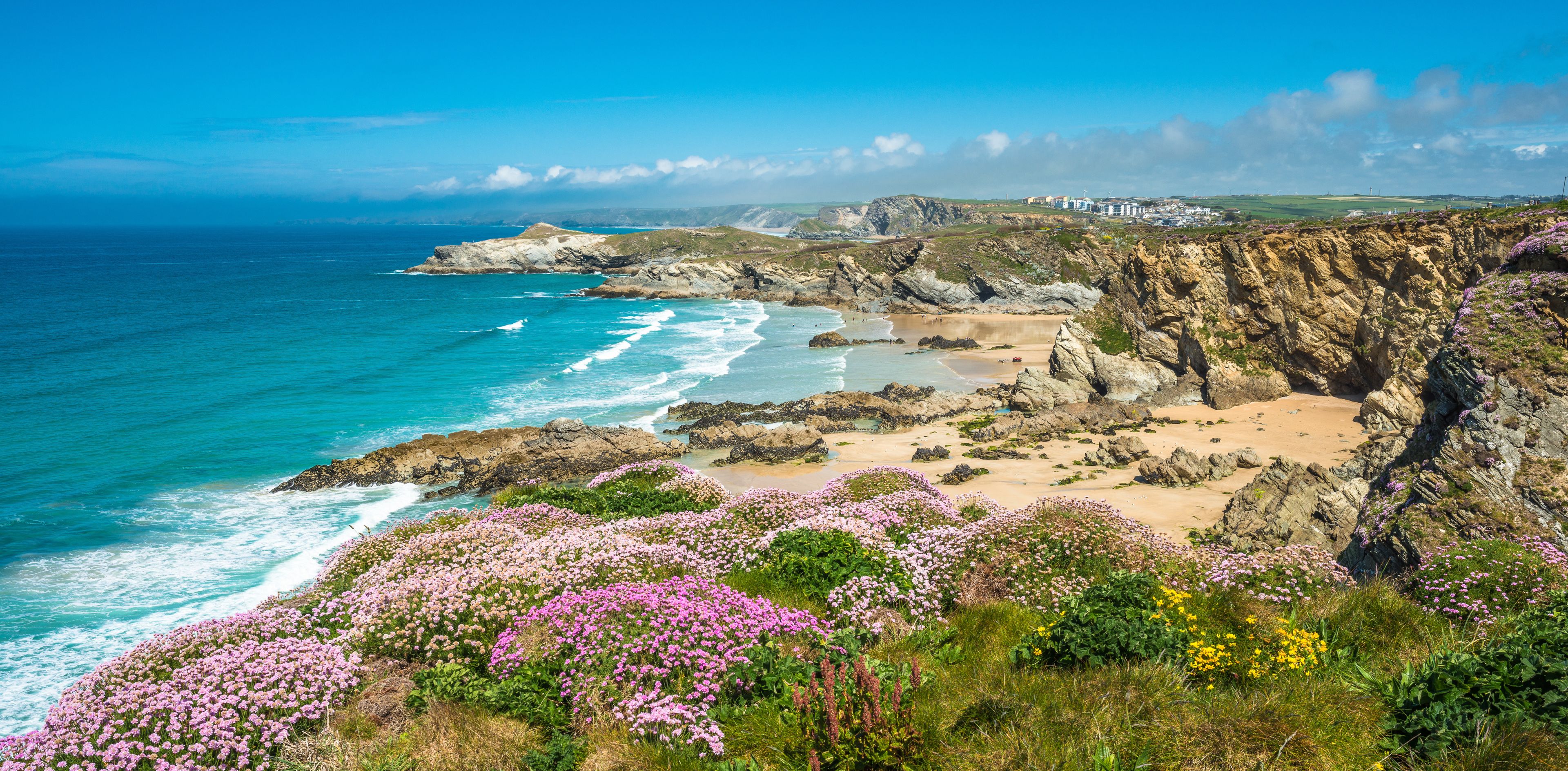 Paesaggio costiero con scogliere, spiaggia e fiori selvatici.
