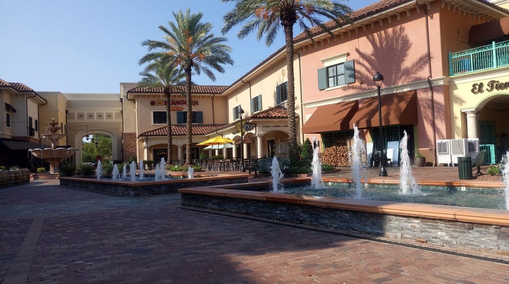 Early mornings at Vintage Park.
#VintagePark #HoustonTX #NorthHouston #SpringTX #Fountains