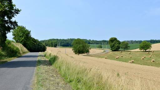 Country landscape with wheat fields and pond, near road D 142, Saint-Martial, Charente, France.