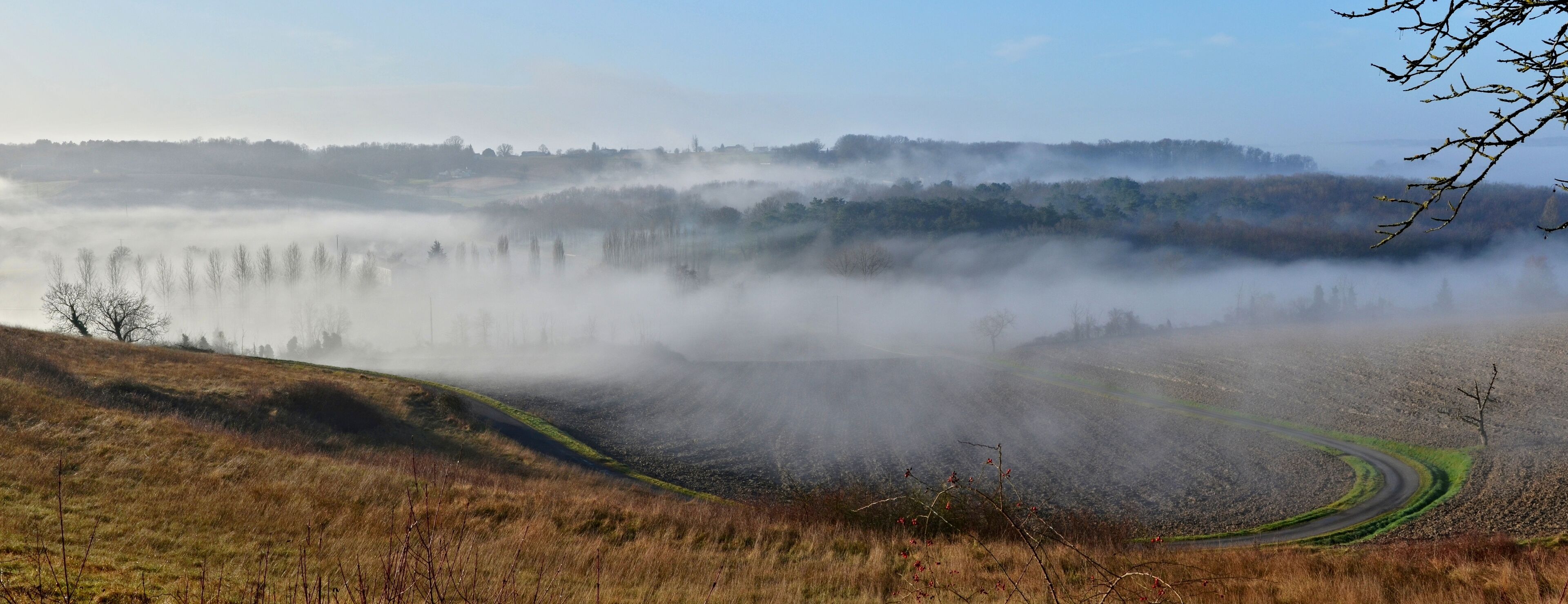 Foggy morning on the hills as seen from road D 24, Saint-Amant-de-Montmoreau, Charente, France.