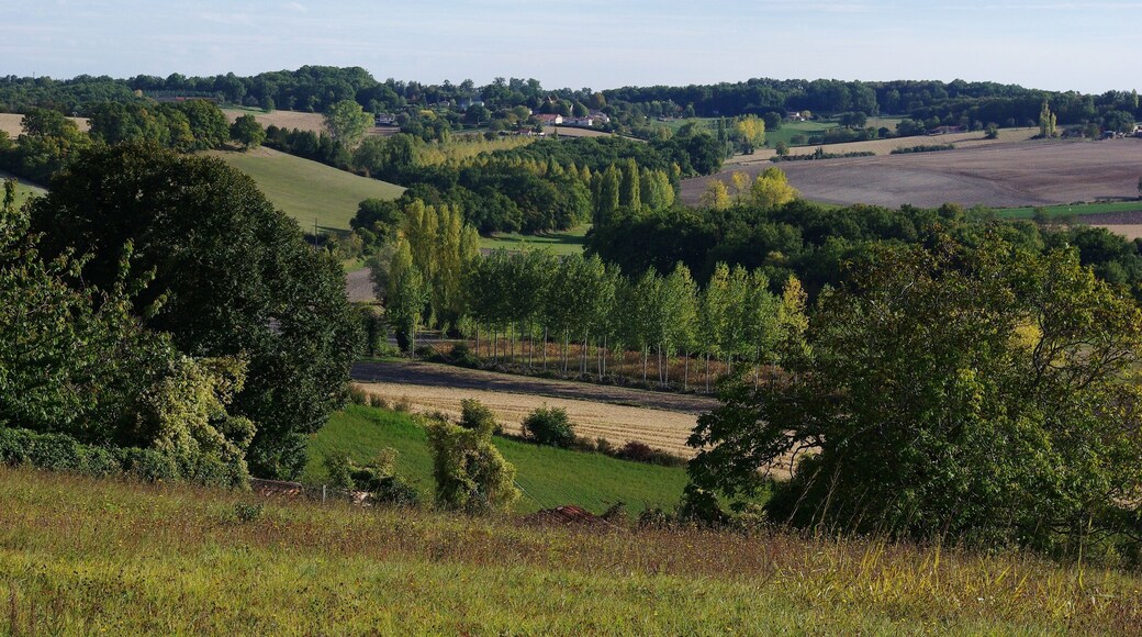 Hills near Montmoreau, southern part of Charente, France.