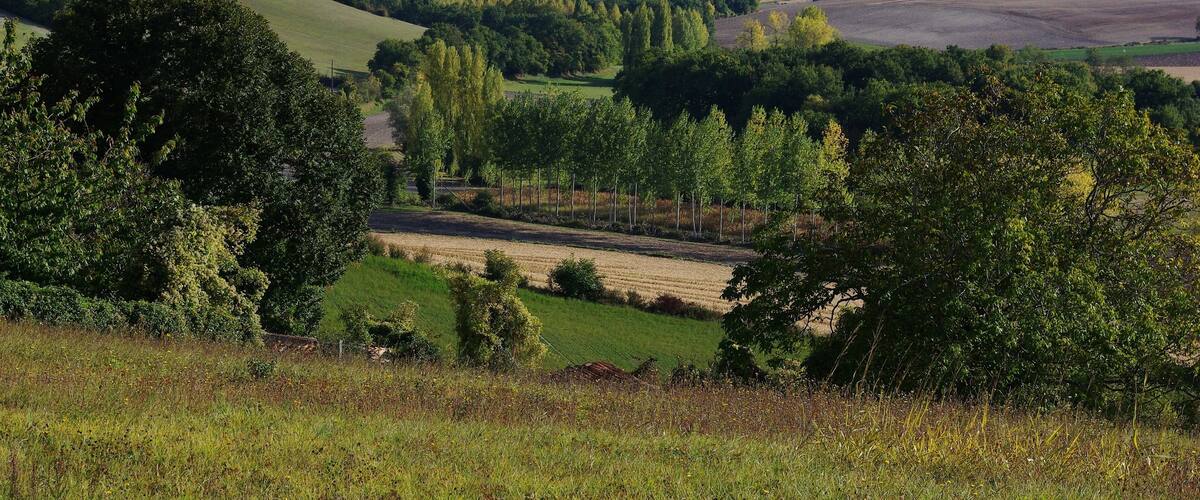 Hills near Montmoreau, southern part of Charente, France.
