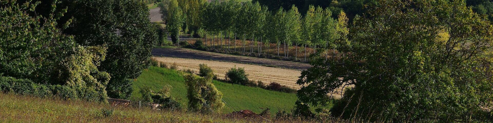 Hills near Montmoreau, southern part of Charente, France.