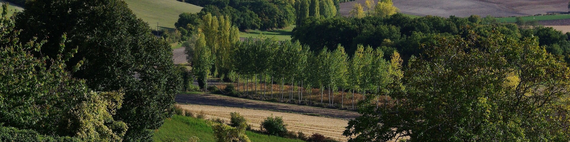 Hills near Montmoreau, southern part of Charente, France.