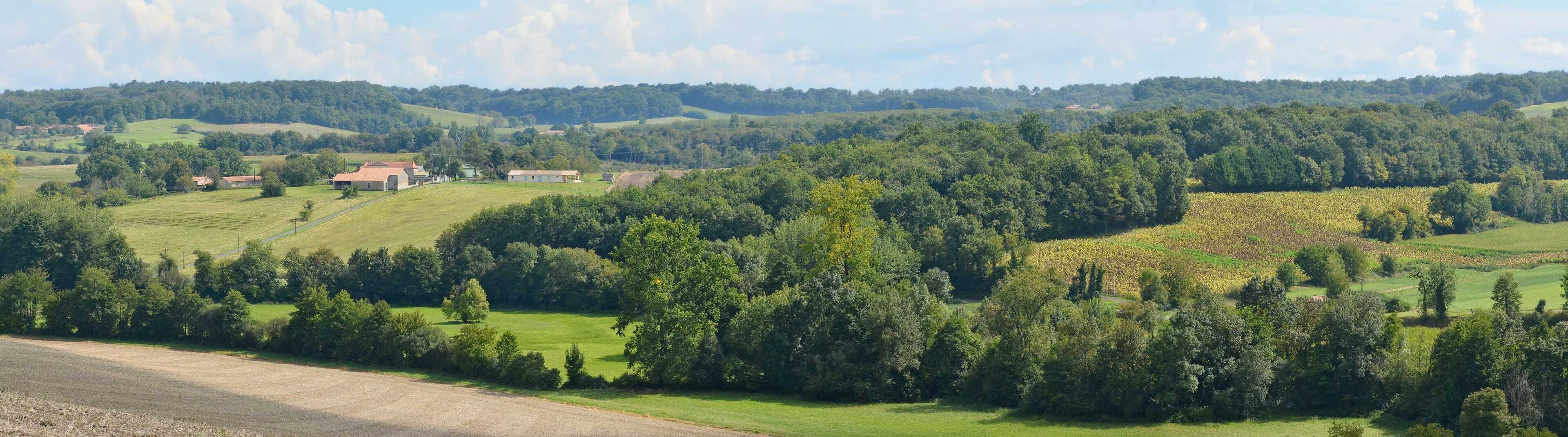 Wooded hills of the South of the Charente department, Saint-Amant-de-Montmoreau, Charente, France.